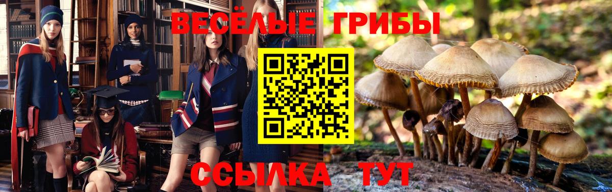 Галлюциногенные грибы Psilocybine cubensis  Вход с VPN  Псилоцибиновые грибы Psilocybe  Котельники 